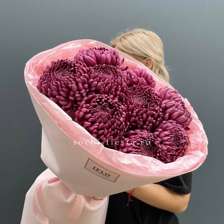 9 хризантем бигуди в Костроме