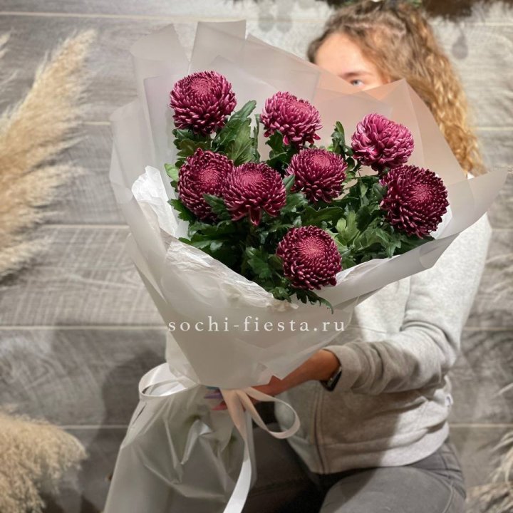 Хризантемы Бигуди в Костроме