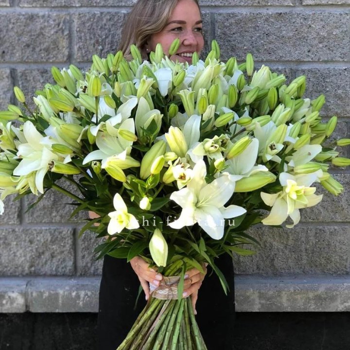 51 лилия в Костроме