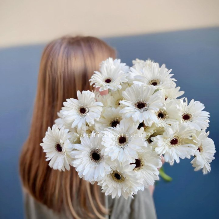 Охапка гербер в Костроме