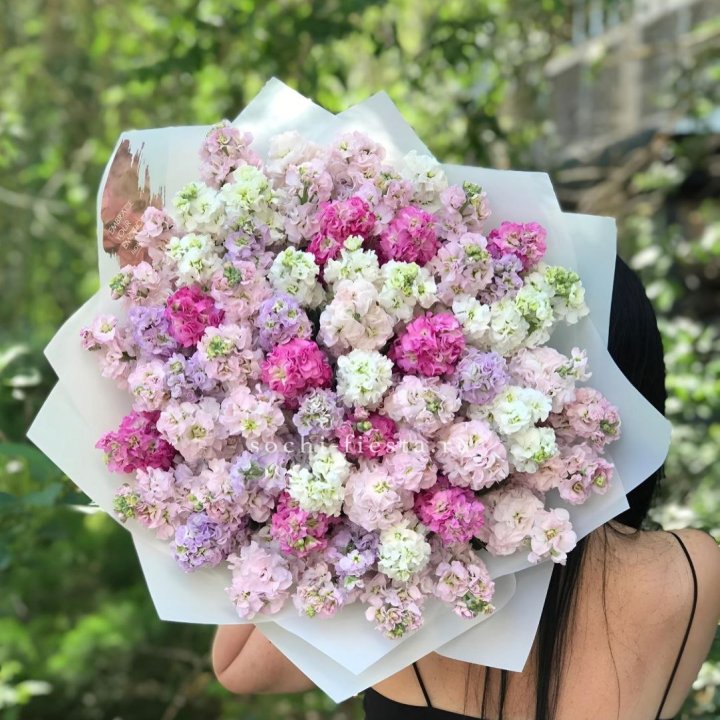 Букет ароматной маттиоллы №3 в Костроме