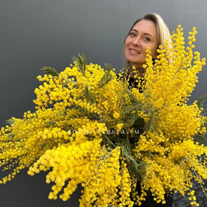 Охапка мимозы №2 в Костроме