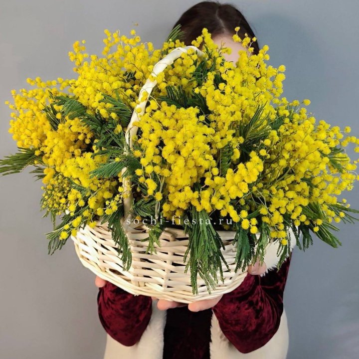 Корзина ароматной мимозы в Костроме