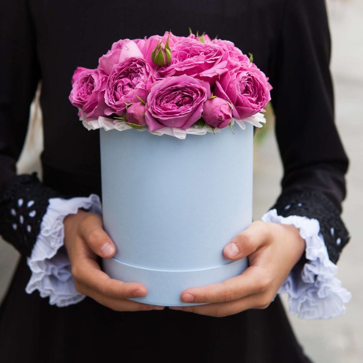 Бокс мини мисти в Костроме