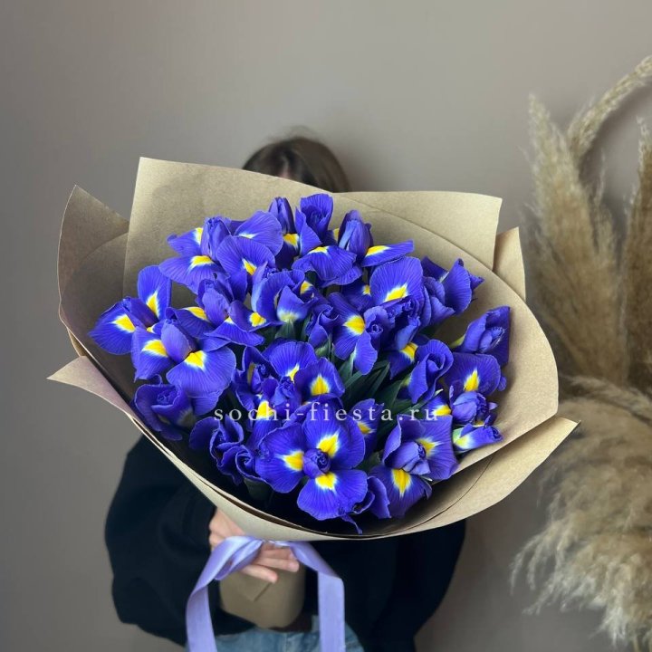 Ирисы в Костроме