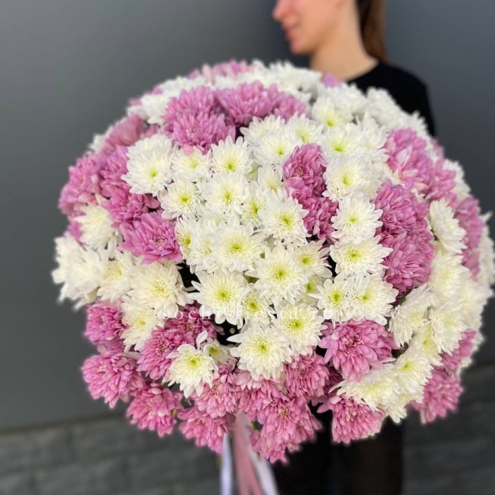  Букет 25 хризантем микс в Костроме