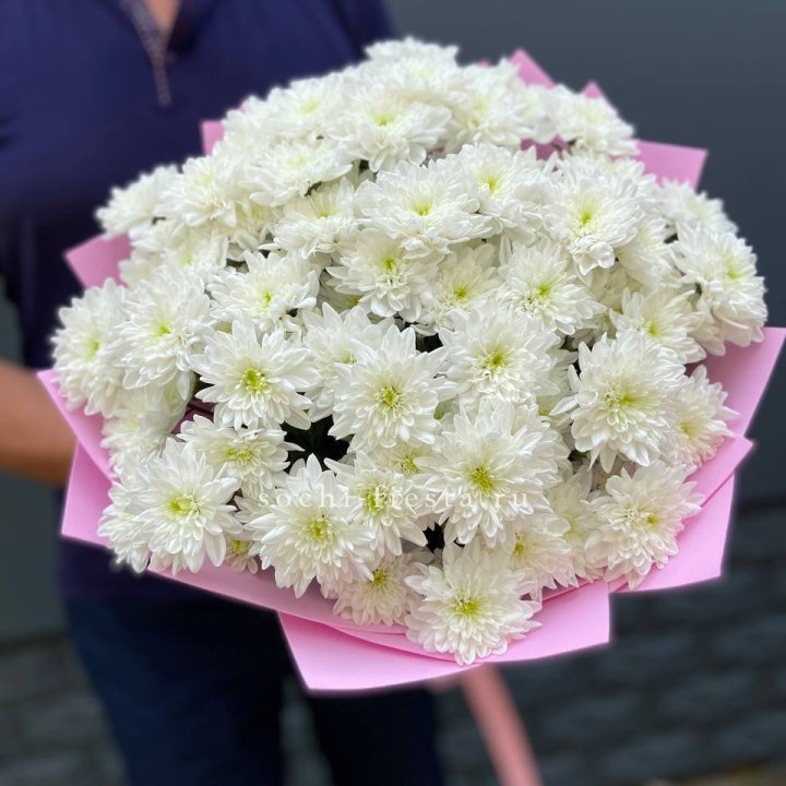  Букет 15 хризантем  в Костроме