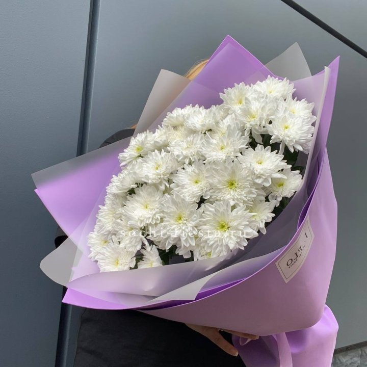  7 хризантем  в Костроме