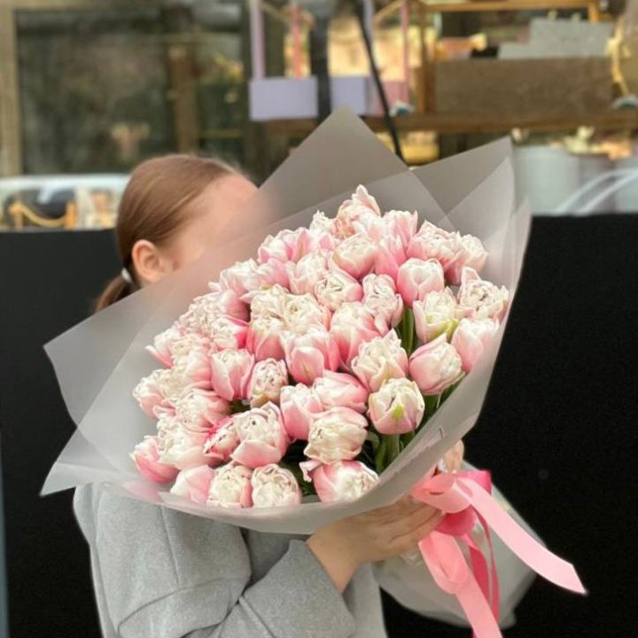 51 нежный тюльпан в Костроме