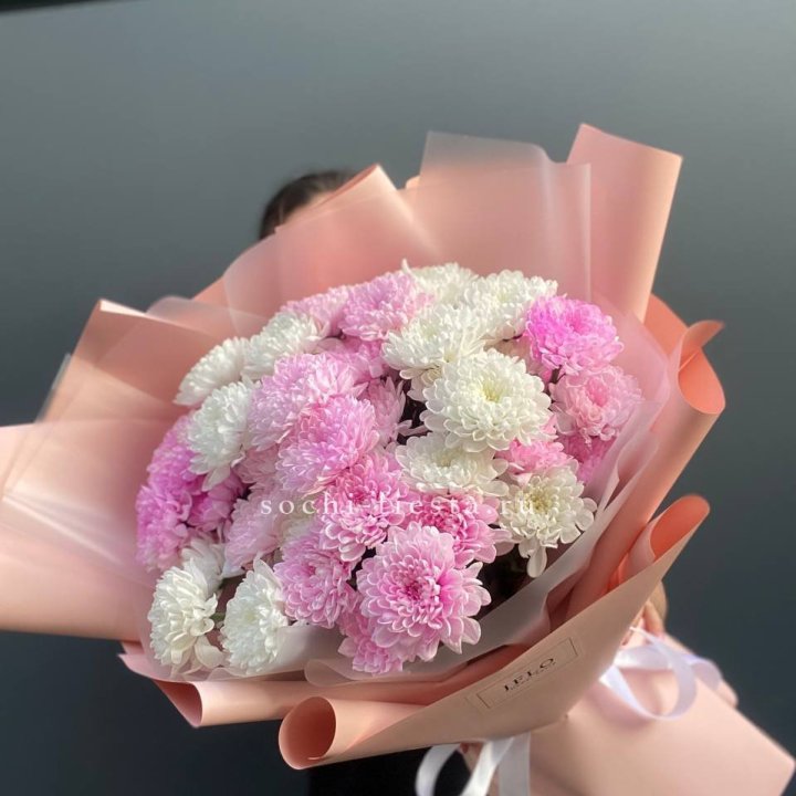  Букет бело-розовых хризантем  в Костроме
