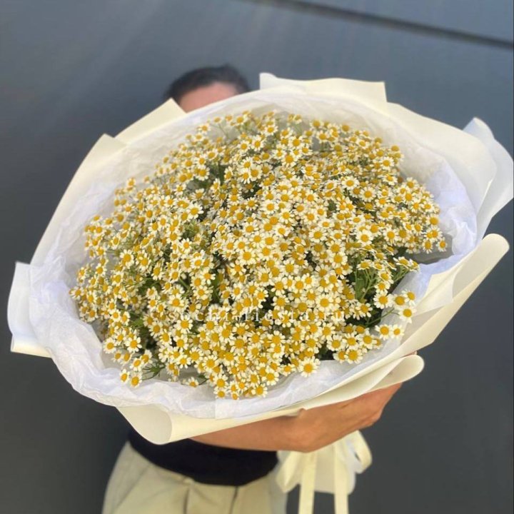 Букет ромашек №2 в Костроме