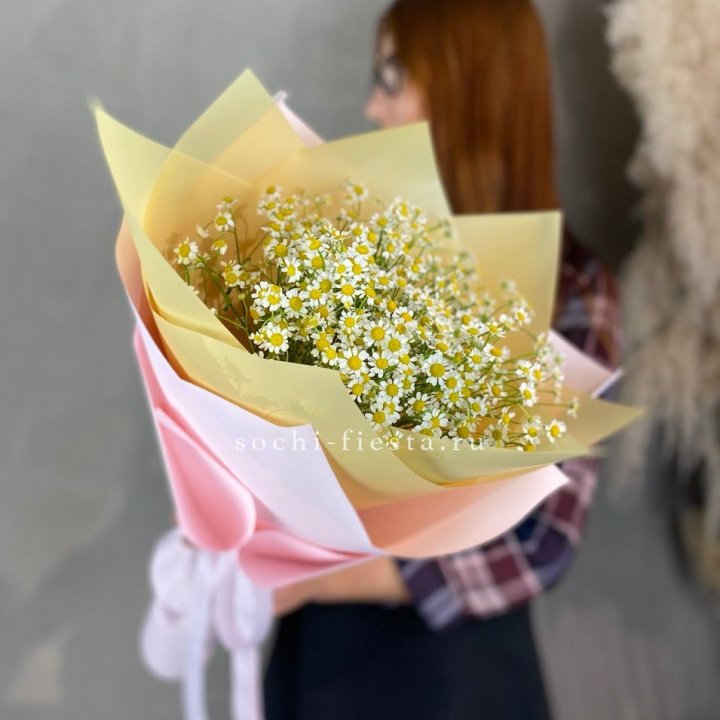 Букет ромашек №3 в Костроме