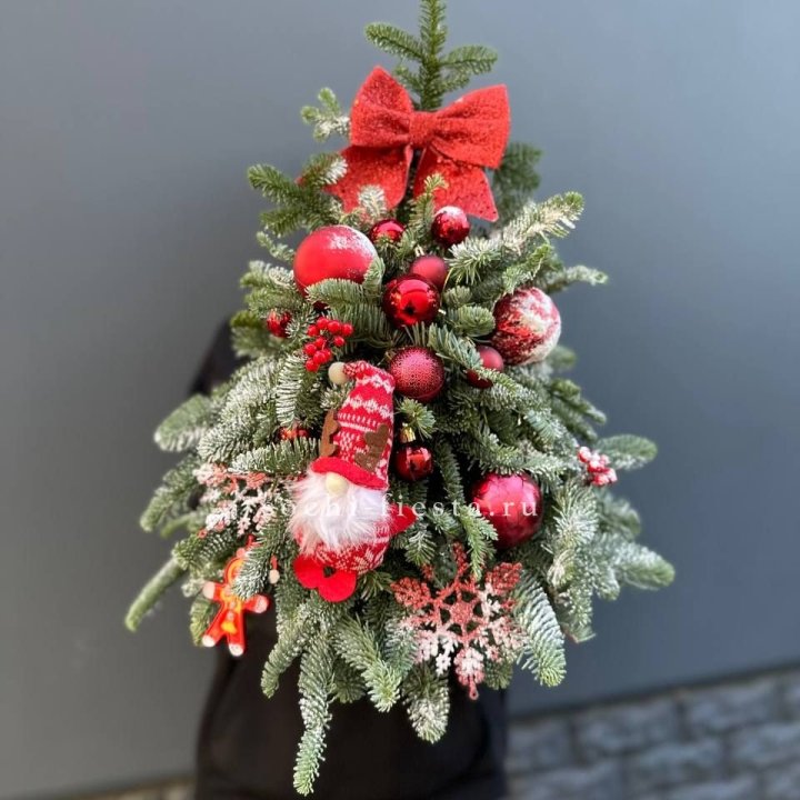 Новогодняя елочка "Ред" в Костроме