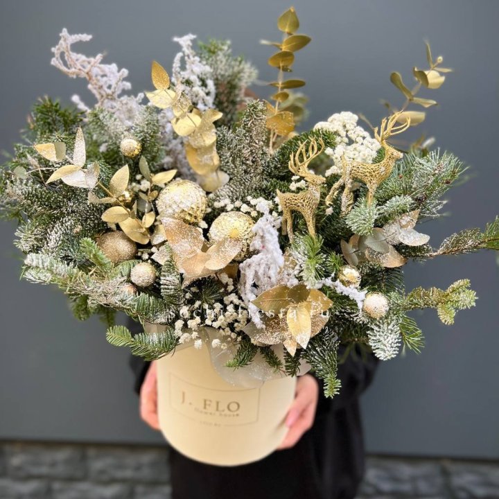 Золотой бокс с нобилисом в Костроме