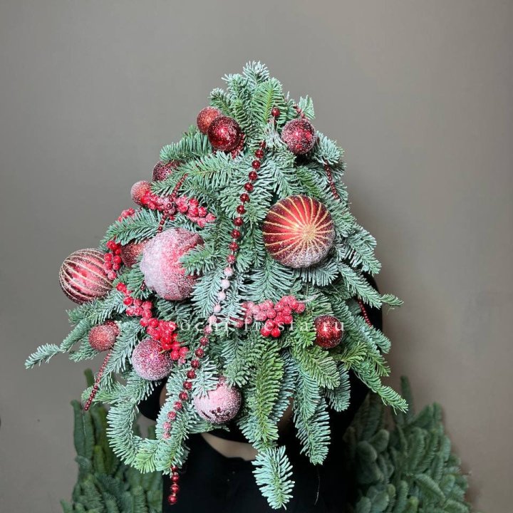 Ёлка красная в Костроме