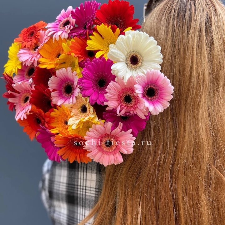 Охапка гербер  в Костроме