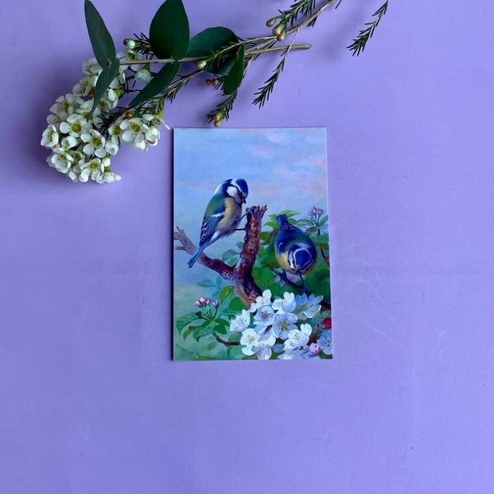 Открытка к букету "Птицы" в Костроме