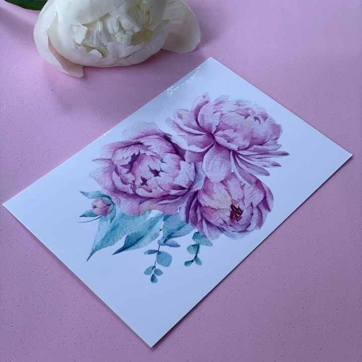 Открытка к букету "Пионы" в Костроме