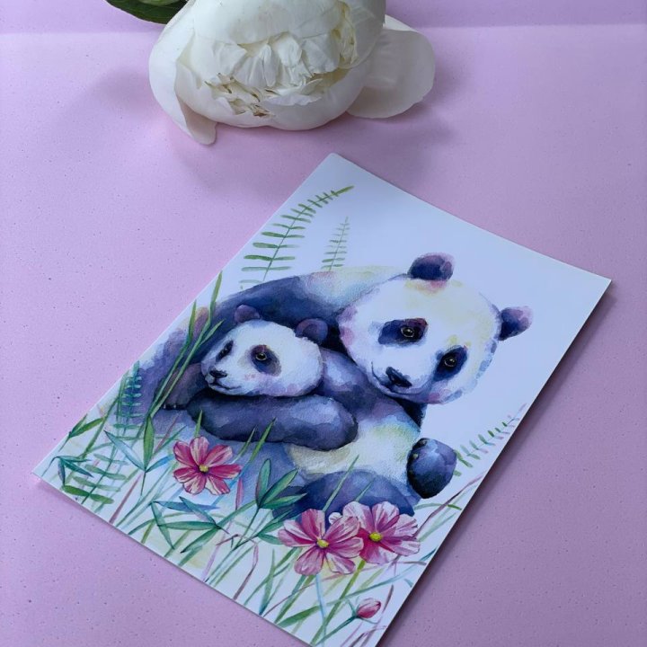 Открытка к букету "Объятие Панды" в Костроме