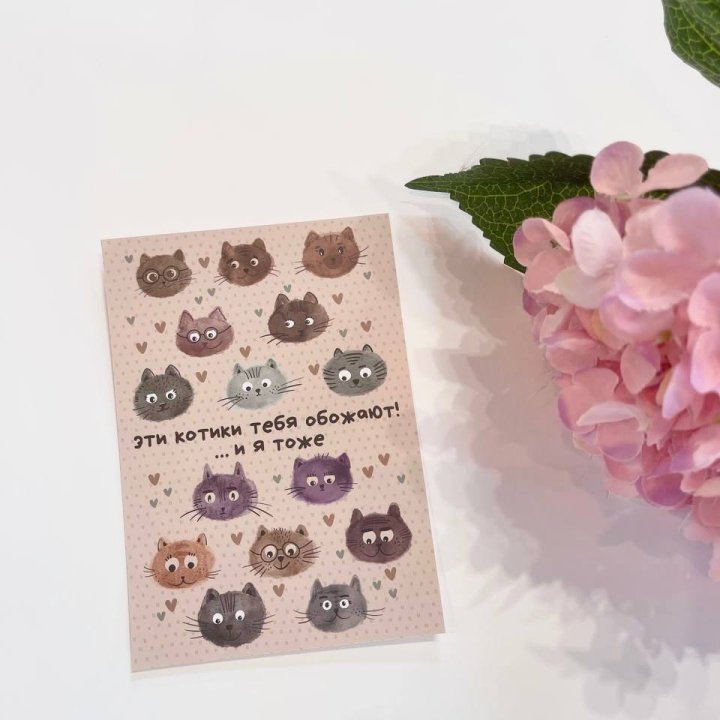Открытка к букету "Котики" в Костроме