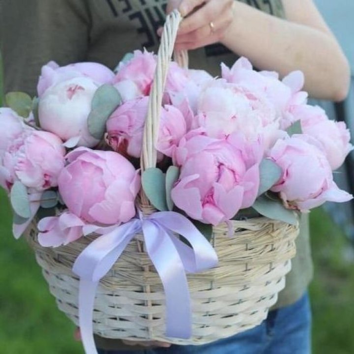 15 пионов в корзине в Костроме