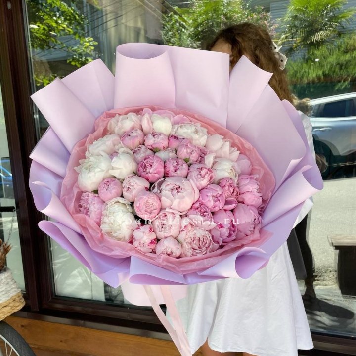 51 розовый пион в Костроме