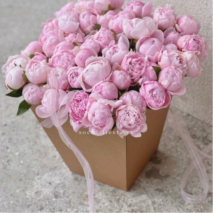 49 пионов в крафт коробке в Костроме