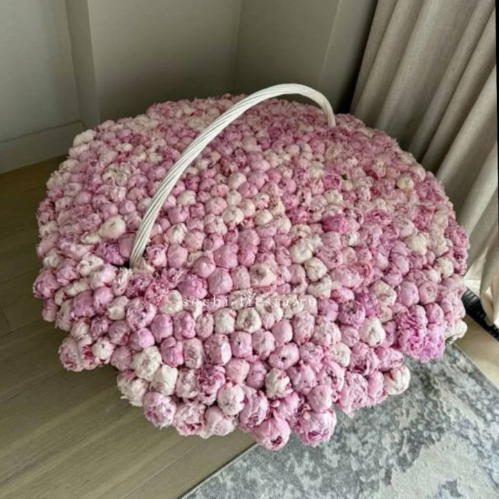 Корзина 555 пионов в Костроме