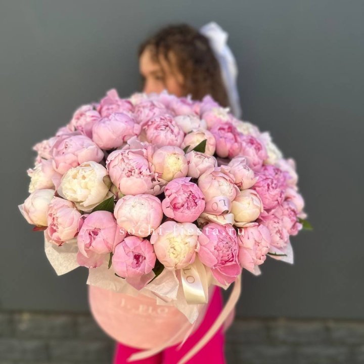 51 нежных пионов  в цилиндре в Костроме