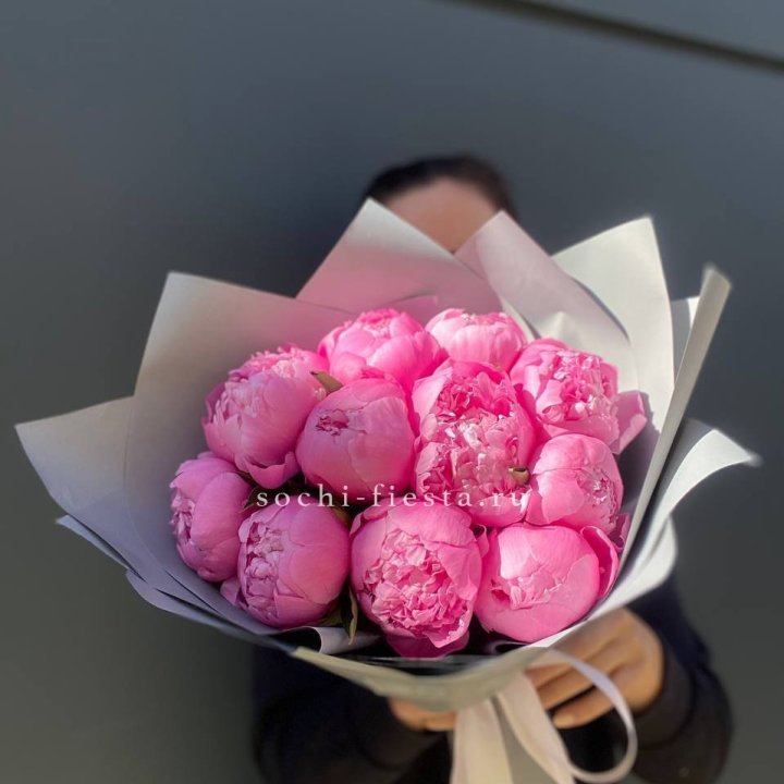 Пионы Алекс флеминг в Костроме