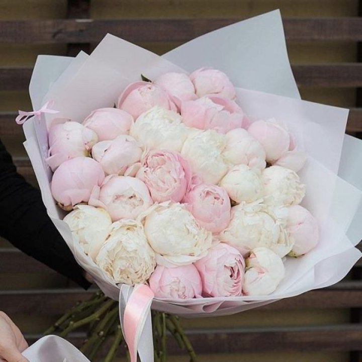 29 пионов в Костроме