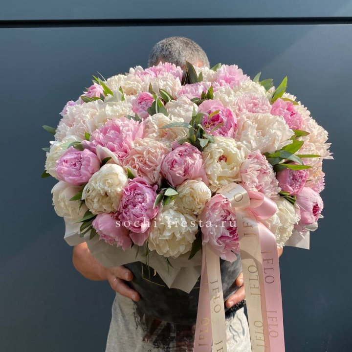 51 пионов в боксе в Костроме