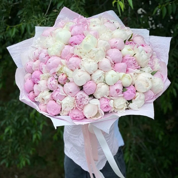 101 пион в Костроме