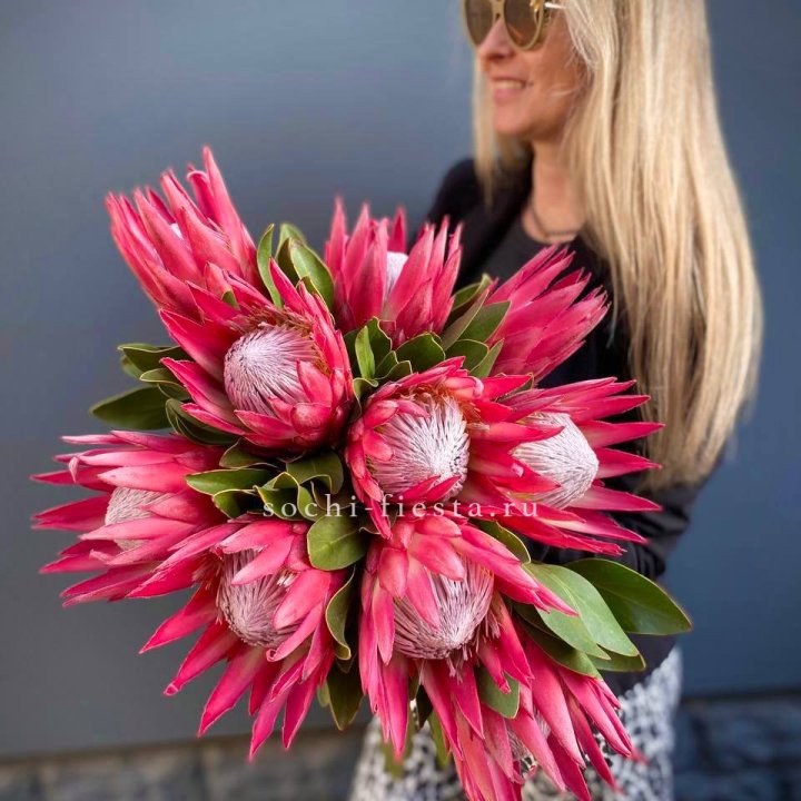 Протея штучно в Костроме