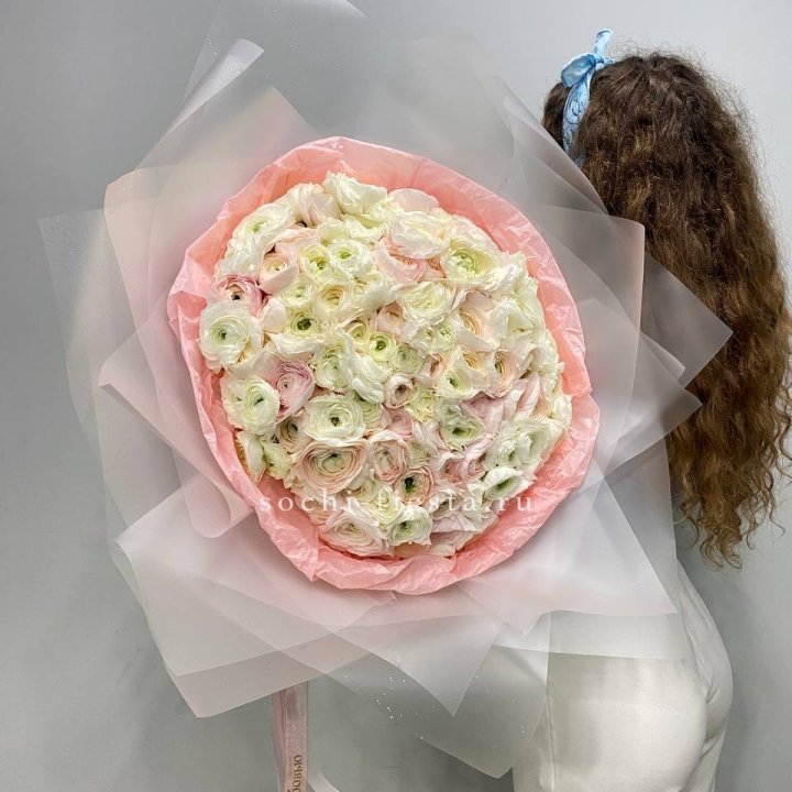 113 ранункулюсов  в Костроме