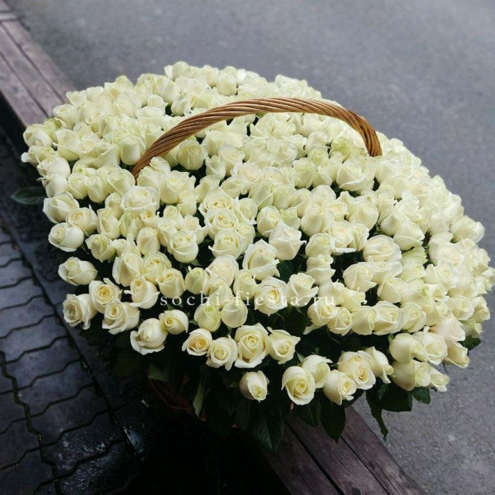 303 розы в корзине в Костроме