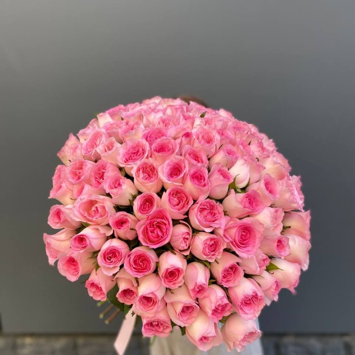 101 розовая роза в Костроме