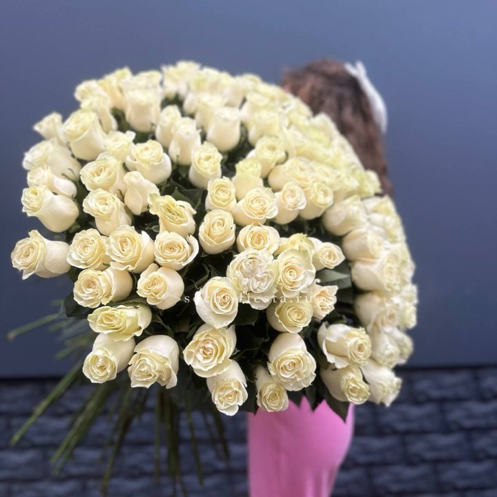 101 белая высокая импортная роза под ленту в Костроме