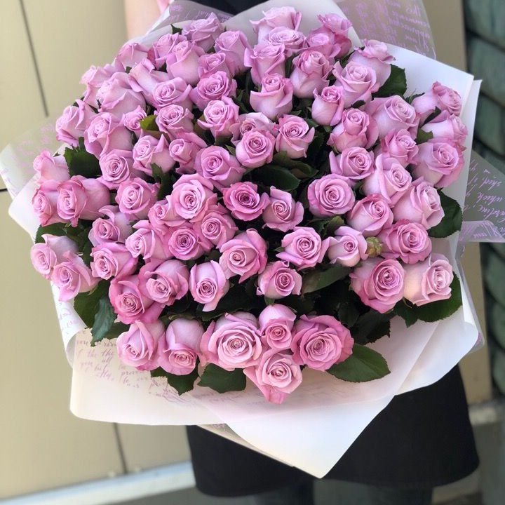 71 розовая роза "Маритим" в Костроме