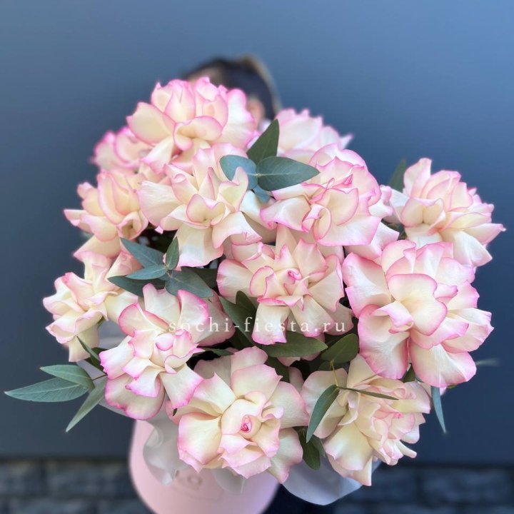 15 Французских роз Джумилия в боксе в Костроме