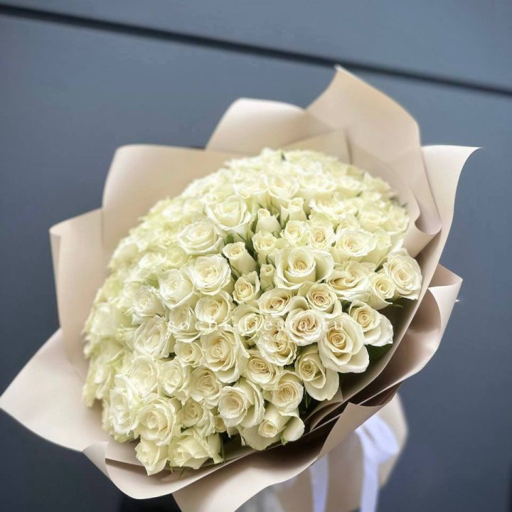 101 белая роза Атена в Костроме