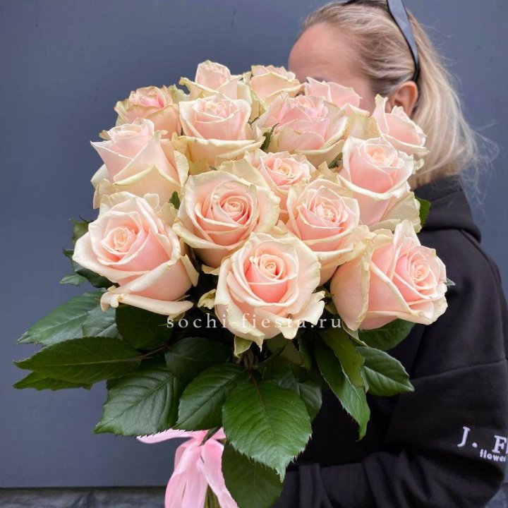 15  кремовых высоких роз в Костроме