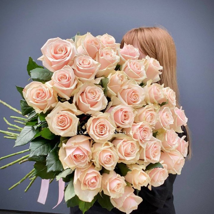 35 кремовых высоких роз в Костроме