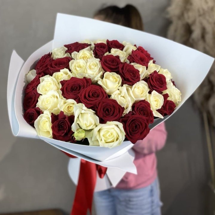 51 красная и белая роза в Костроме