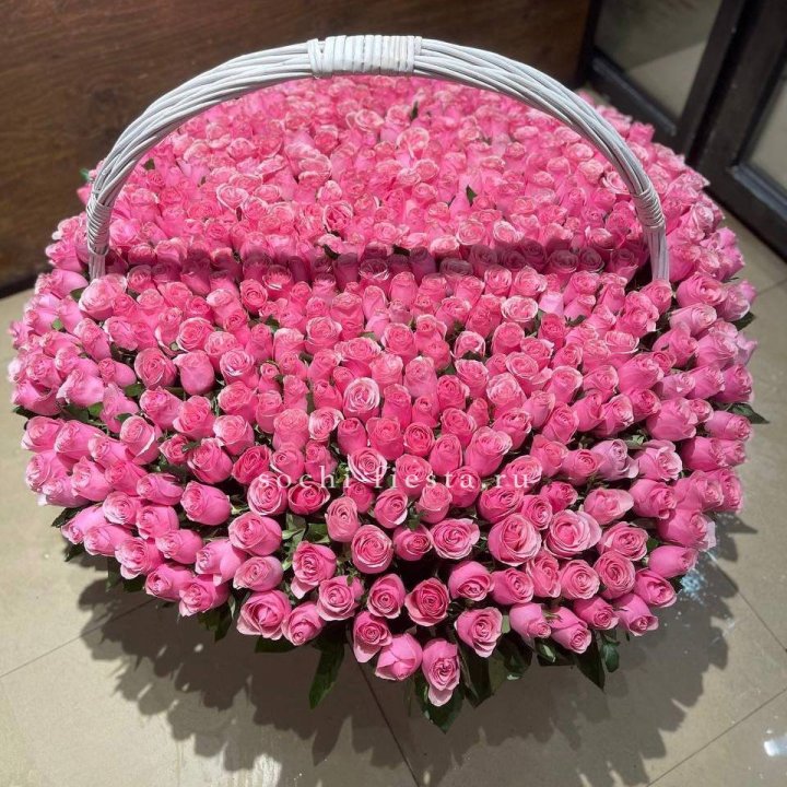 501 розовая роза в Костроме