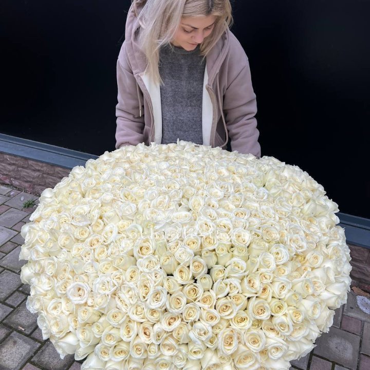 501 белая роза в корзине в Костроме