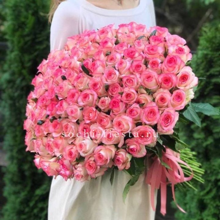 101  джумилия роза  в Костроме