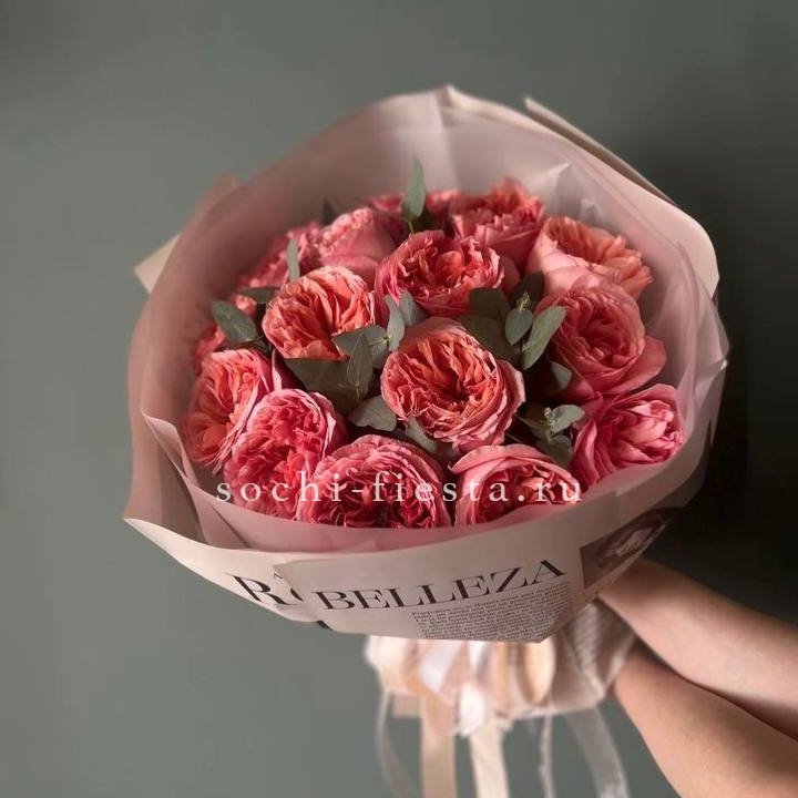 15 Пинк экспрешен в Костроме