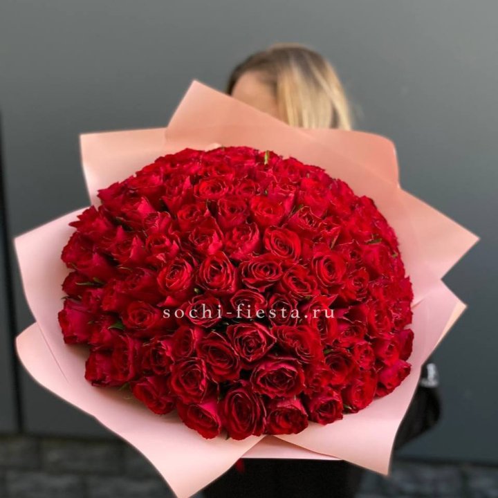 101 роза мадам ред в Костроме
