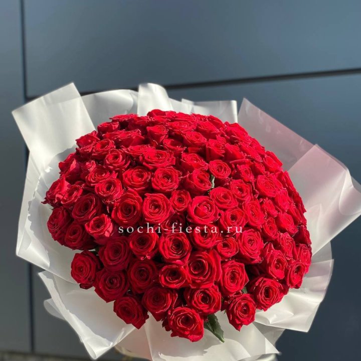 101 высокая роза в Костроме